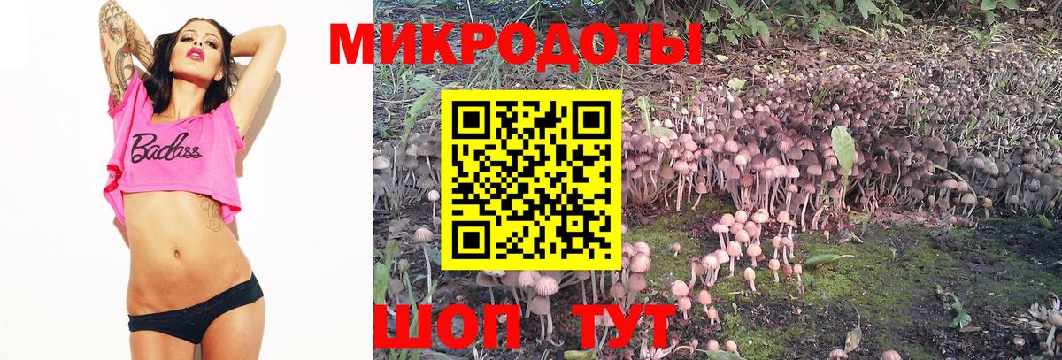 Псилоцибиновые грибы Magic Shrooms  Вход с VPN  Ликино-Дулёво  Псилоцибиновые грибы GOLDEN TEACHER 